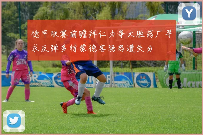德甲联赛前瞻拜仁力争大胜药厂寻求反弹多特蒙德客场恐遭失分
